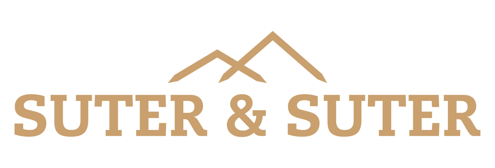 Logo website header